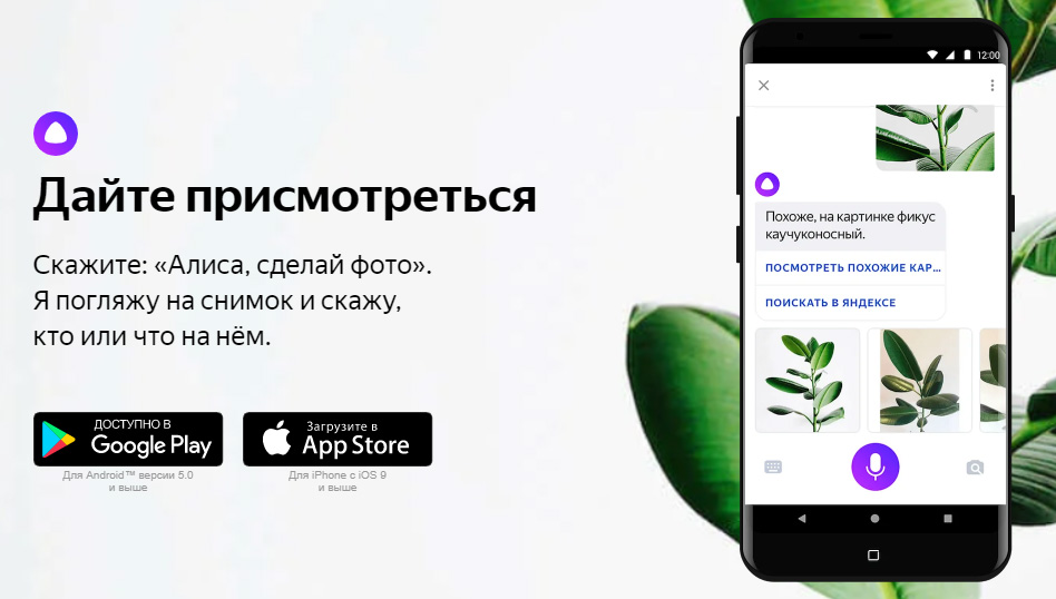 Распознавание по фото растений бесплатно для айфона на русском