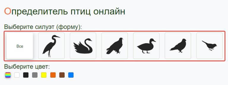 Узнать птицу по фото онлайн бесплатно без регистрации