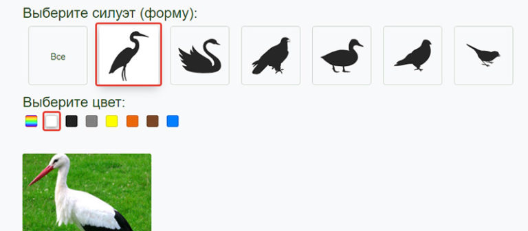 Определить птицу по фото из галереи онлайн бесплатно без регистрации по фото