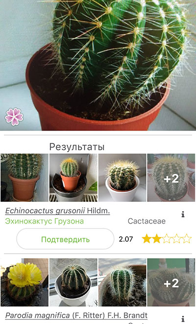 Результаты поиска